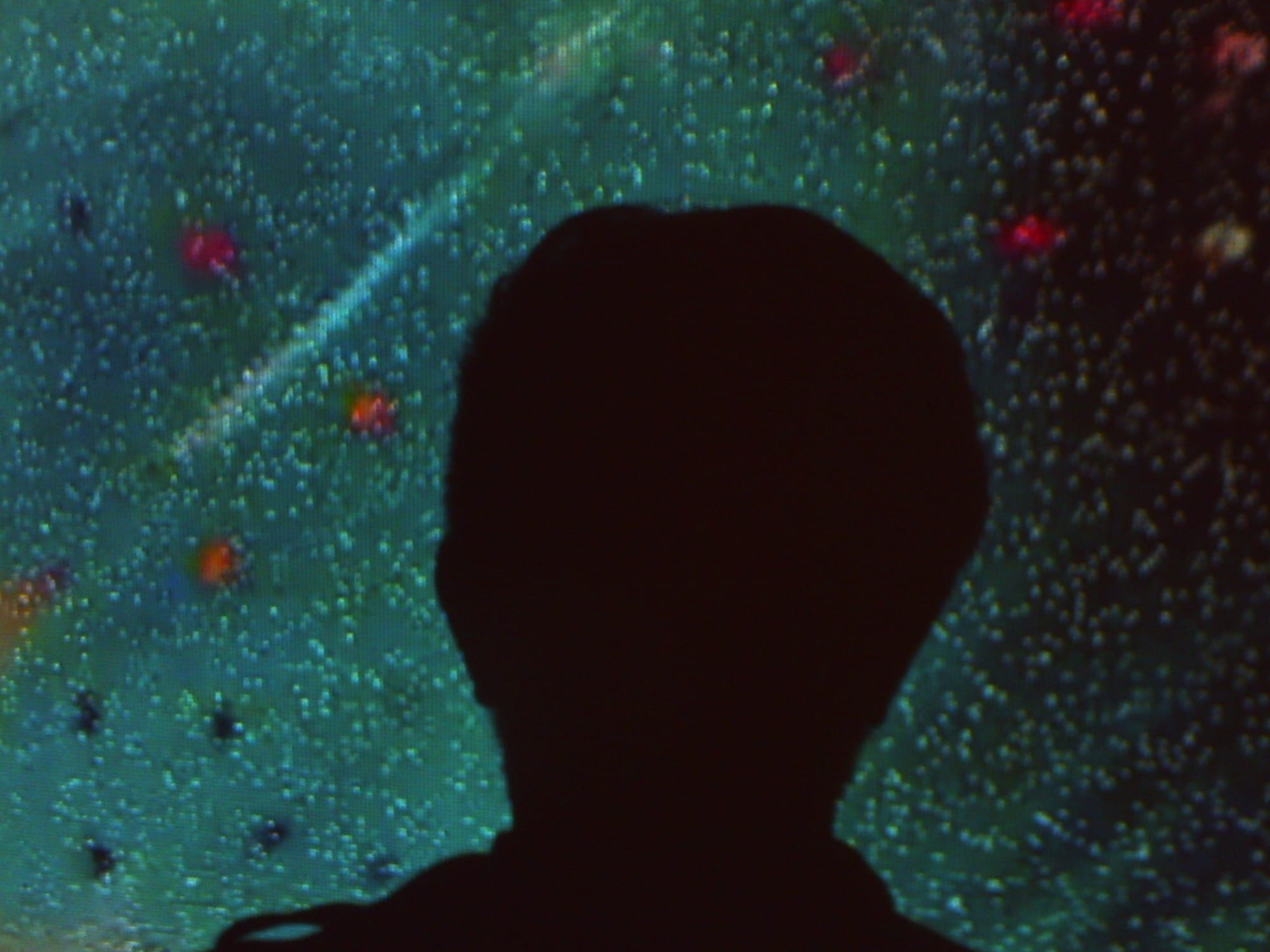 Some Things I Did in 2025